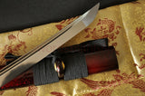 AISI 1060 Steel Full Tang Blade Dragon&Snake Tsuba Katana Sword #205 - Handmade Swords Expert