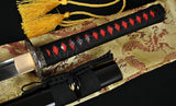 Japanese Samurai Katana Phenix Sword High Carbon Steel - Handmade Swords Expert